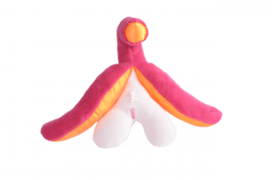 Ver más sobre Chascos p/ Despedidas CLITORIS, Argentina