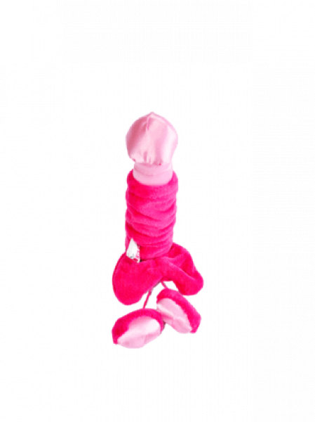 Ver más sobre Chascos p/ Despedidas PENE ROSA, Argentina