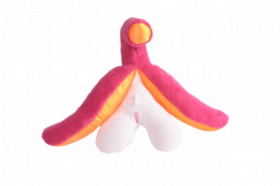 CLITORIS | Chascos p/ Despedidas | Despedida de solteros y solteras